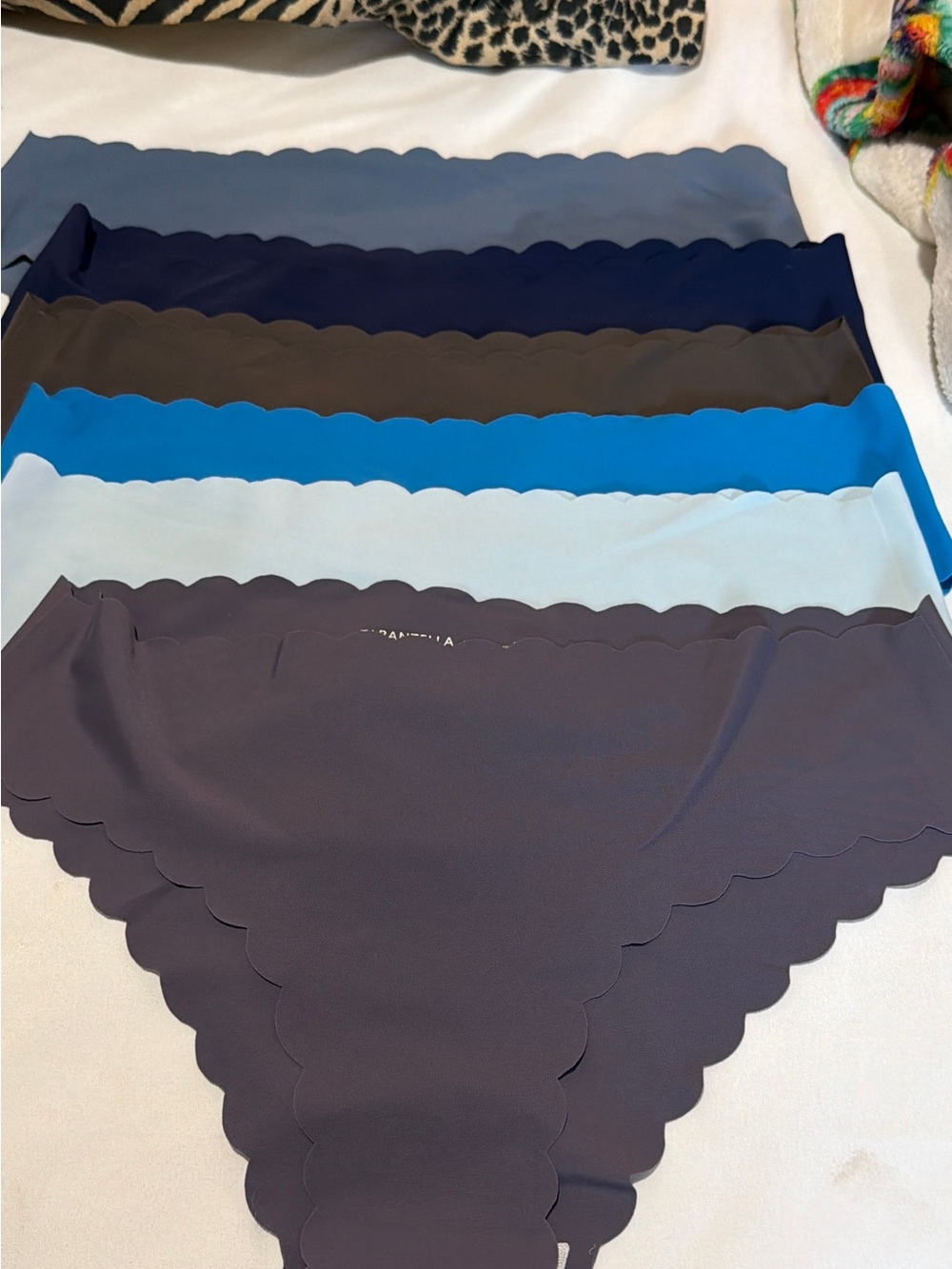 Tarantella Scalloped Edge Seamless Panty Set in Navy, Blue, Gray, Light Blue.